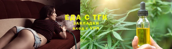 хмурый Арсеньев
