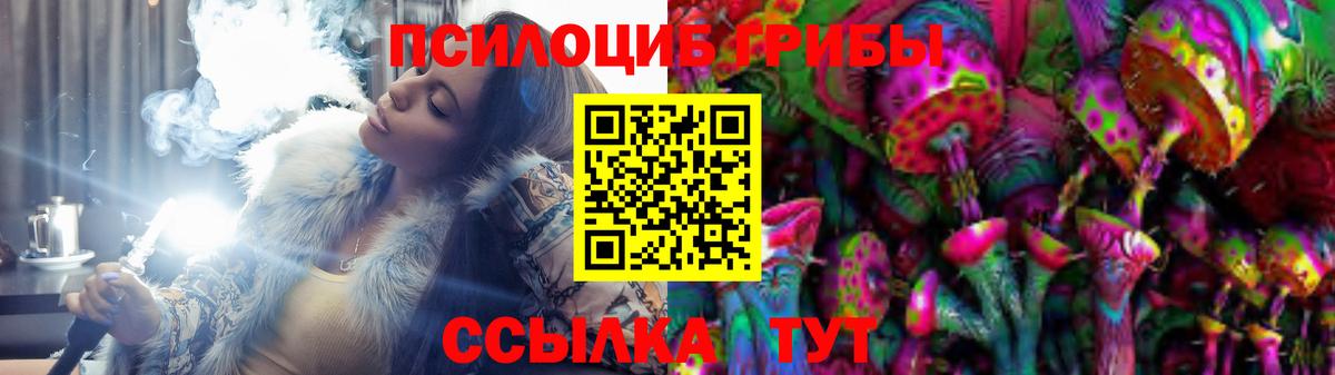 купить закладку  Вход с VPN  Галлюциногенные грибы Cubensis  Георгиевск  Галлюциногенные грибы мицелий 