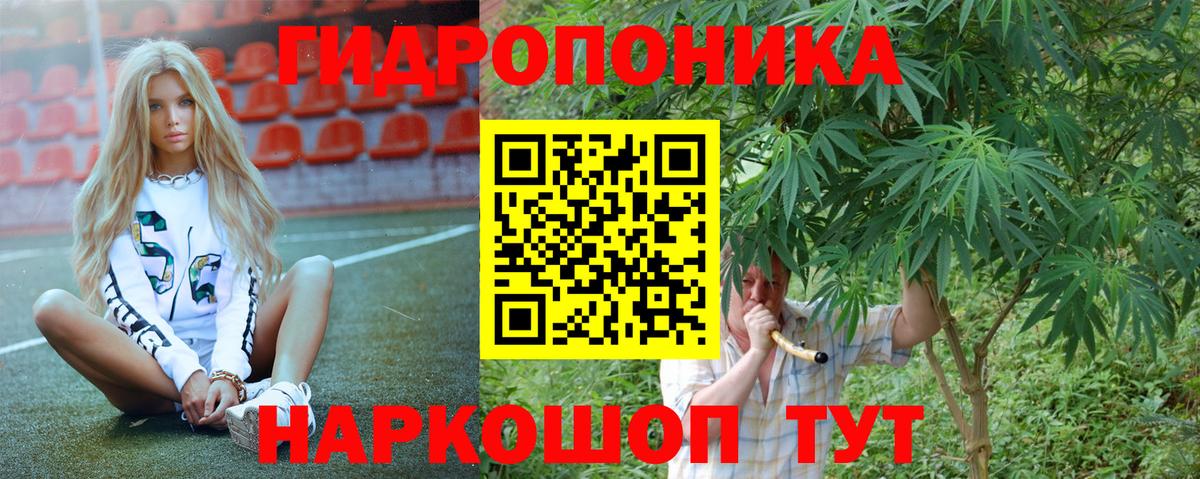 Шишки марихуана ГИДРОПОН Георгиевск